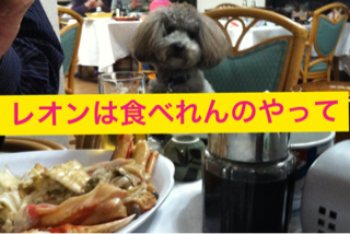 image-20130523220930.png