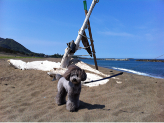 image-20130523221214.png