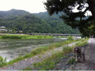 image-20130723221652.png