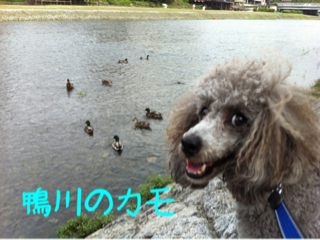 image-20130723222845.png