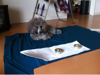 image-20130731220157.png