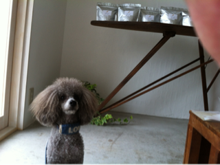 image-20130731220230.png