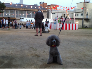 image-20130731220302.png